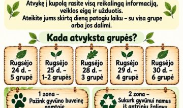 STEAM grupės veikla: minėsime Pasaulinę natūralios aplinkos dieną