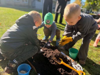 Nuo lysvės iki lėkštės: bulvės kelionė su mažaisiais atradėjais!