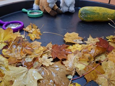 Mažieji rudens tyrinėtojai Mažieji rudens tyrinėtojai