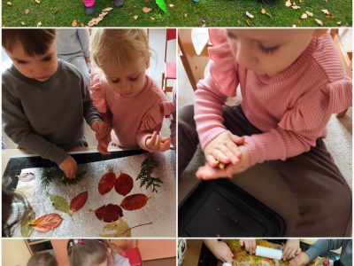 Mažieji rudens tyrinėtojai Mažieji rudens tyrinėtojai